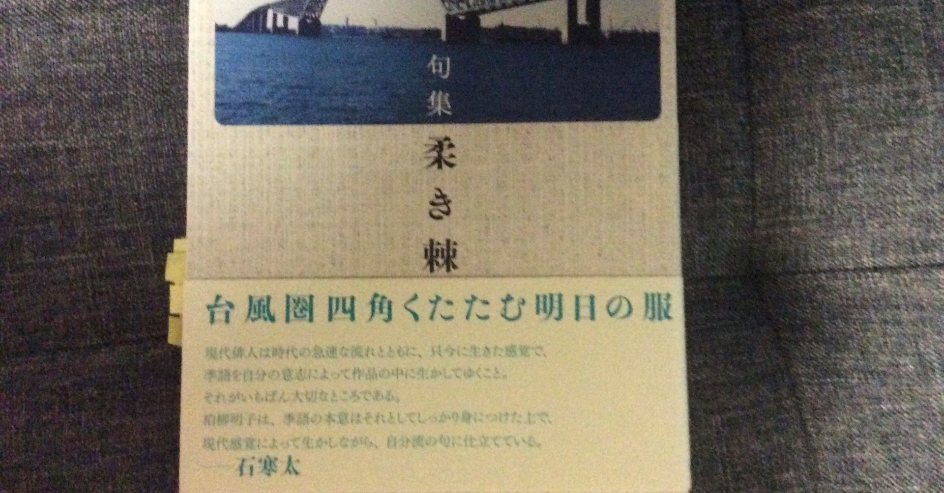 柏柳明子句集 柔き棘 を読む 探花 Note