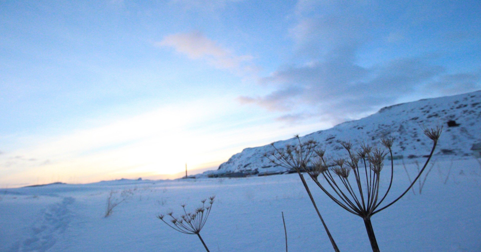 ゴールデンカムイ 23巻 どんどん大人になってく鯉登少尉 June03 Note