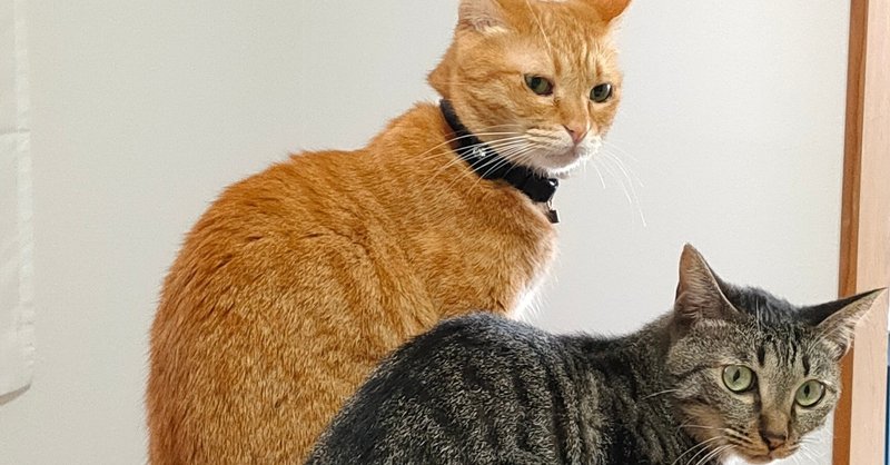 後輩の成功 出世を喜べない人は成長できない話 城咲 花 note