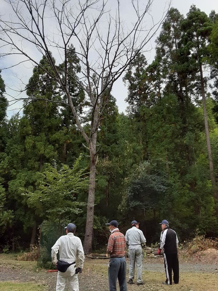 焔のある暮らし 薪の確保のために 鍬人 Note