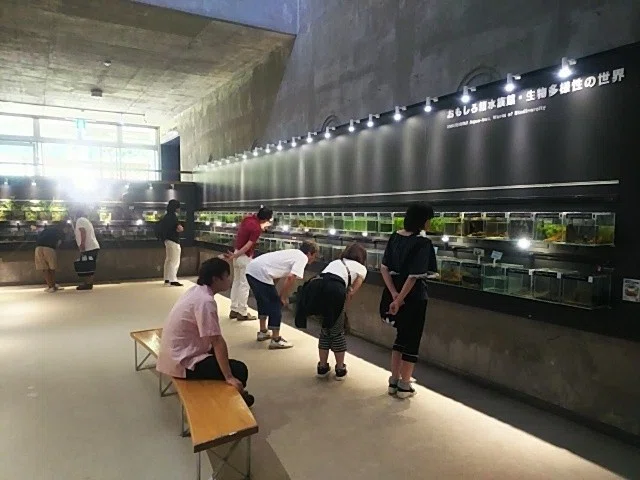 画像8