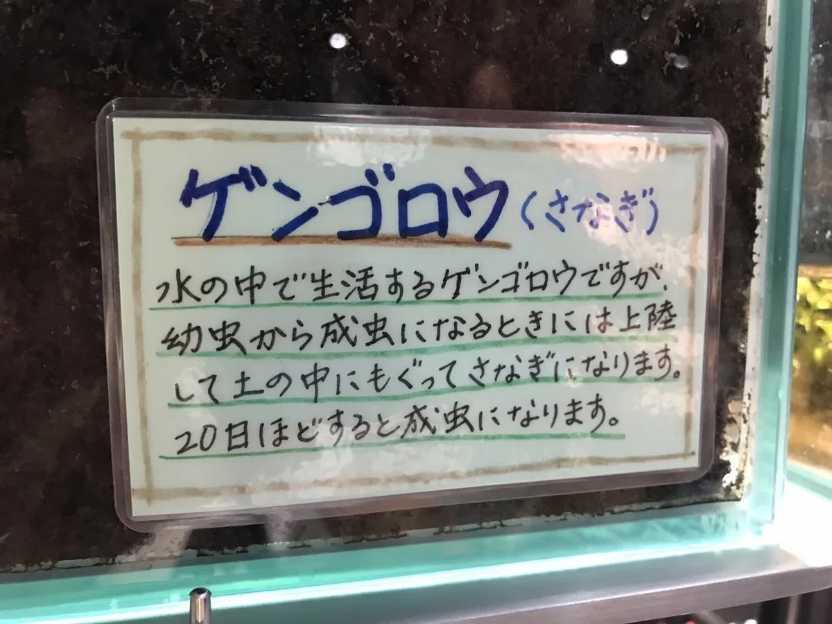 画像10