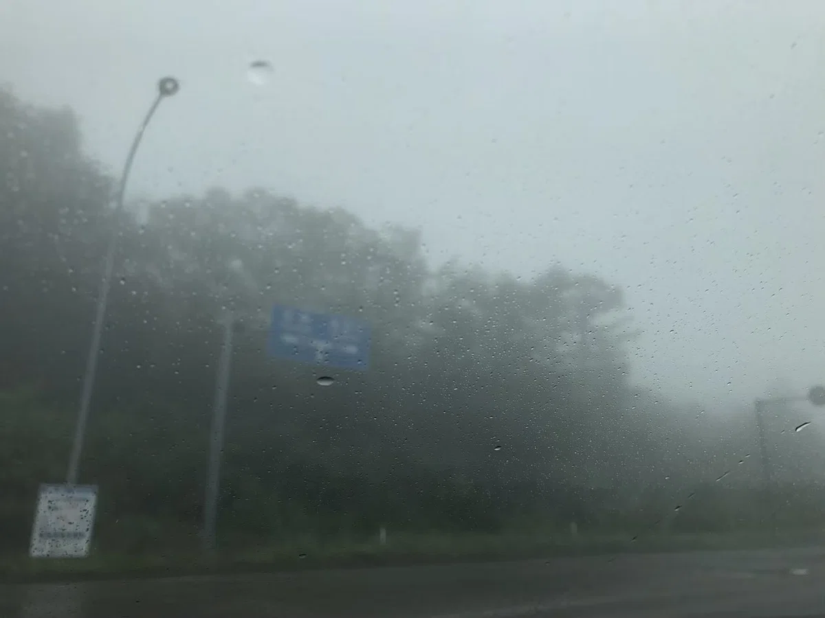 画像15