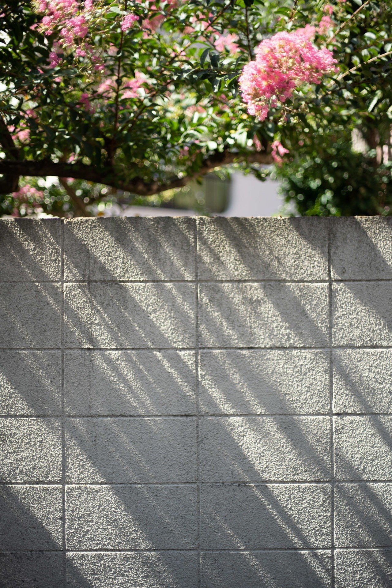 Canon New FD 50mm F1.4 【作例多数】｜PS2U