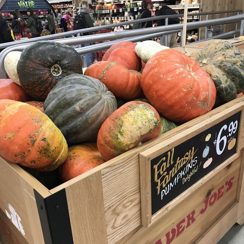 ニューヨークのハロウィン 沖山りこ Note