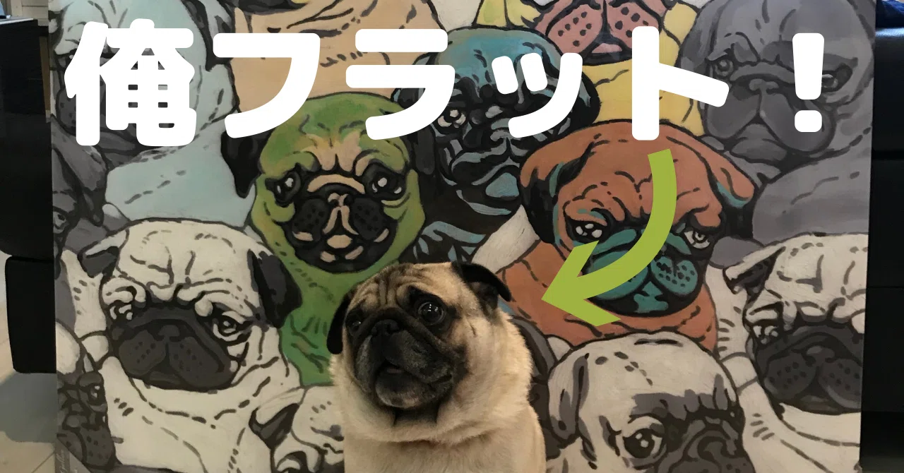 うちのフラットさん パグ考⑧ 毎週日曜恒例です（笑） No.659｜二代目