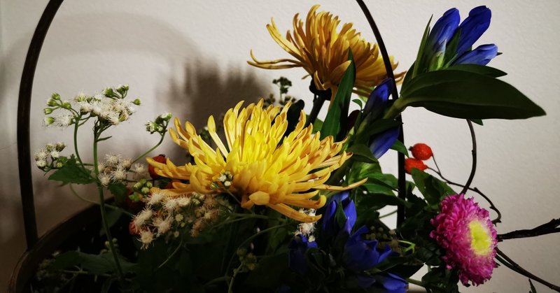 How To 籠花 水揚げ 暴れ菊 というかアゲラタム 柊月 しゅうげつ Note How To 籠花 水揚げ 暴れ菊 というかアゲラタム 柊月 しゅうげつ Note