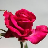 未来への名言１１４ 内容のない思考は空虚であり 概念のない直観は盲目である イマヌエル カント タイムシフト研究所 フューチャー レディネス ラーニング Note