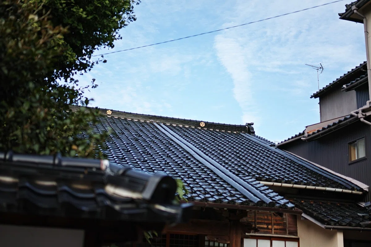 画像8