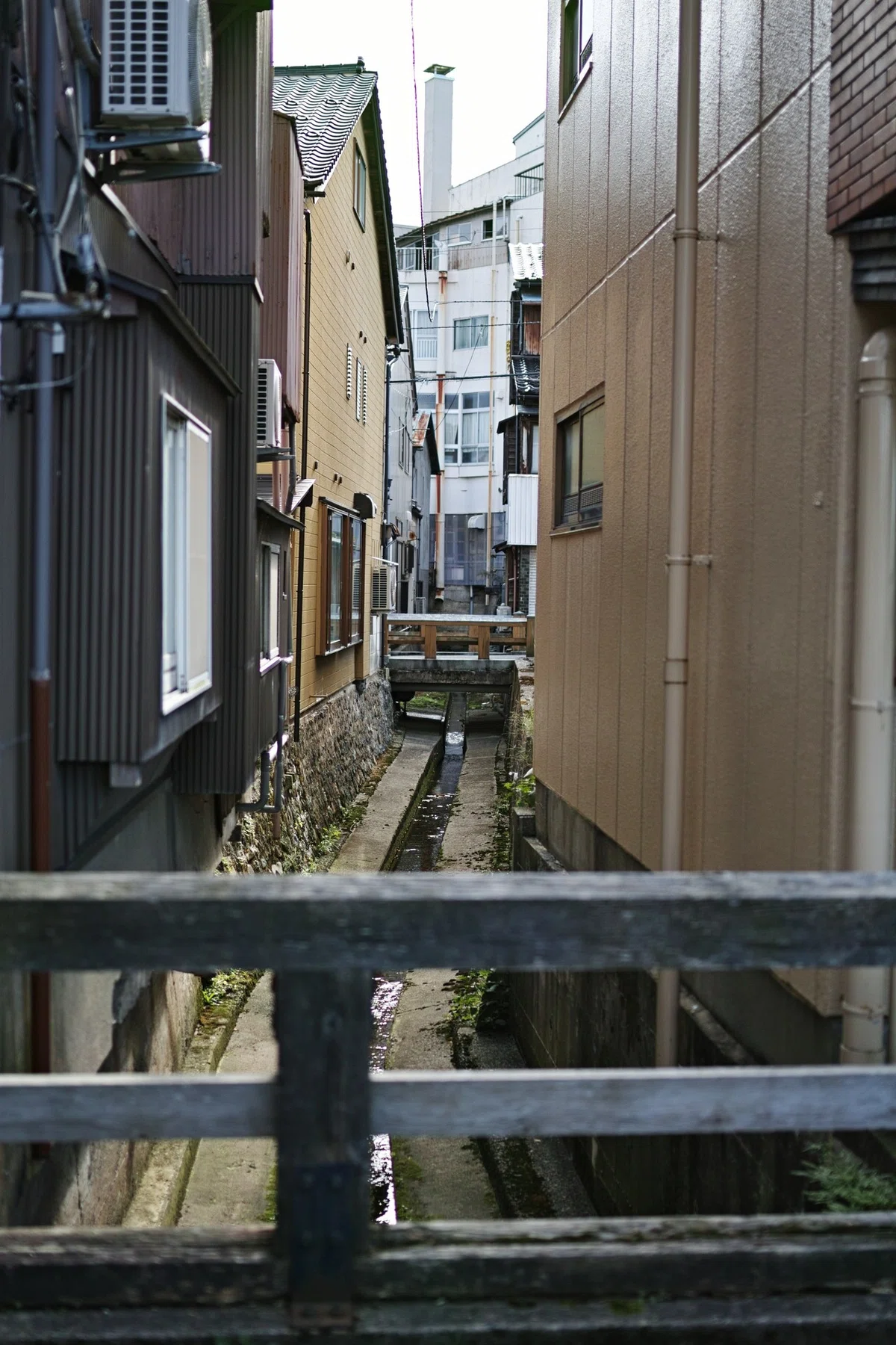 画像19