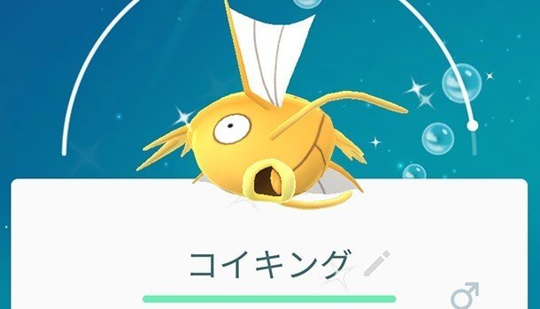 色違いコイキングは金色だったというのを初めて知った日です 久々にポケモンgoやろうとしてインストールして近くの海を歩いていたら捕まえました それにしても運が良すぎるから明日がめちゃくちゃ怖い アン 北国育ちのワダイノート 野良猫カメラマン フォロバ100