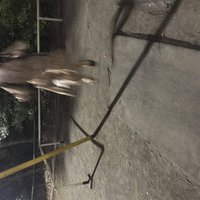 ディズニーの音楽がブロードウェイっぽいのはなぜ 最近の曲はどう 川原梨央奈 Note ディズニーの音楽がブロードウェイっぽいのはなぜ 最近の曲はどう 川原梨央奈 Note