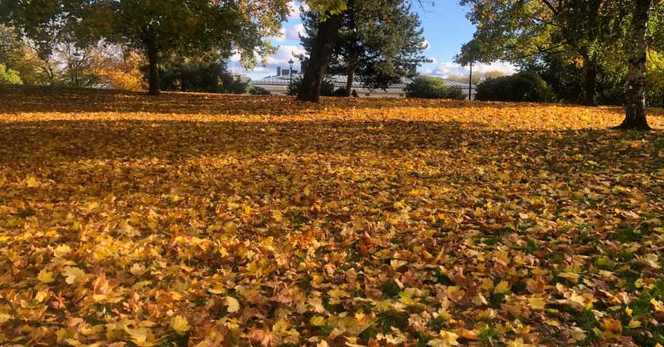 時間がない から外語国語の勉強が進まないのか 外国語の楽しい勉強法 北欧言語 How To Learn Nordic Languages Asaki Abumi Note