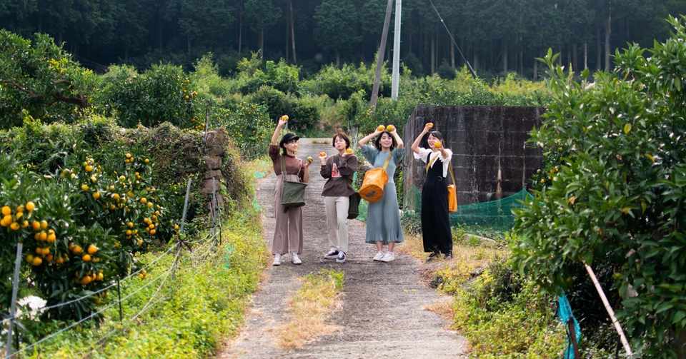 Youtube 熊本美女図鑑の動画撮影でみかん畑を使って頂きました 杉農峰園 レジャーみかん農園 Note