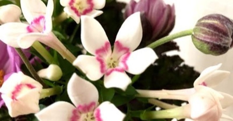 幸福な朝は愛がいっぱい 熊谷珠樹フラワーアーティスト Note