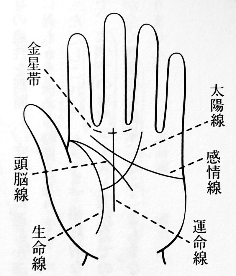 8 女性の幸せを招く手相入門 応用編 教育と受験 中井ひろし Note