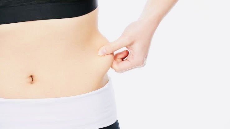 なぜ脇腹の脂肪は取れにくいのか 高丘真弓 Note なぜ脇腹の脂肪は取れにくいのか 高丘真弓 Note