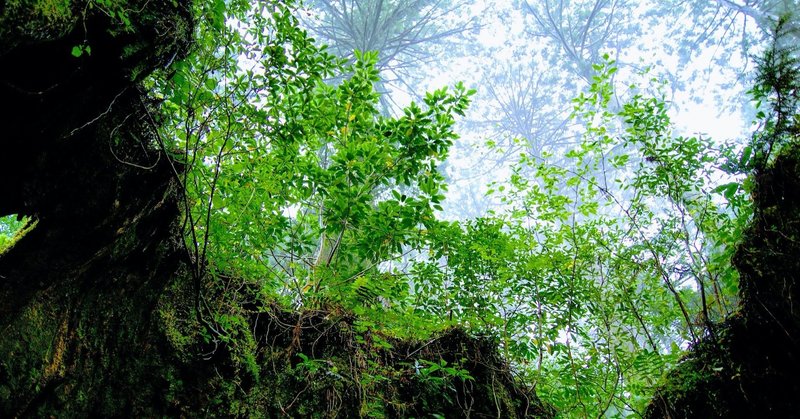 鹿児島の生物多様性と保全上の重要性