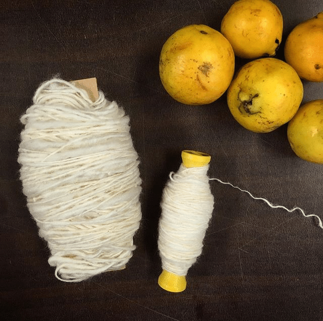 年はじめての糸紡ぎ Npoポラーノポラーリ染織教室 Note