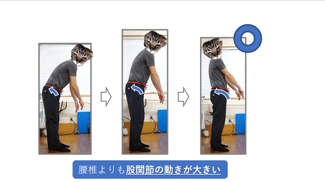 腰部・骨盤帯 第3回 《運動学的異常 後編》｜上田浩司（理学療法士）