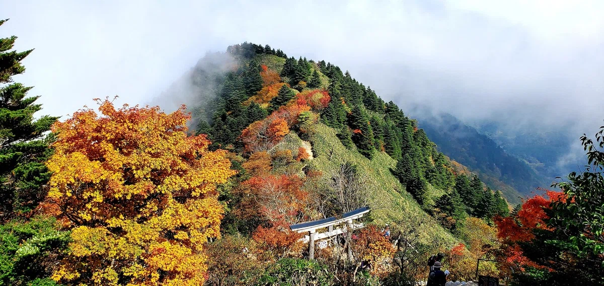 画像17