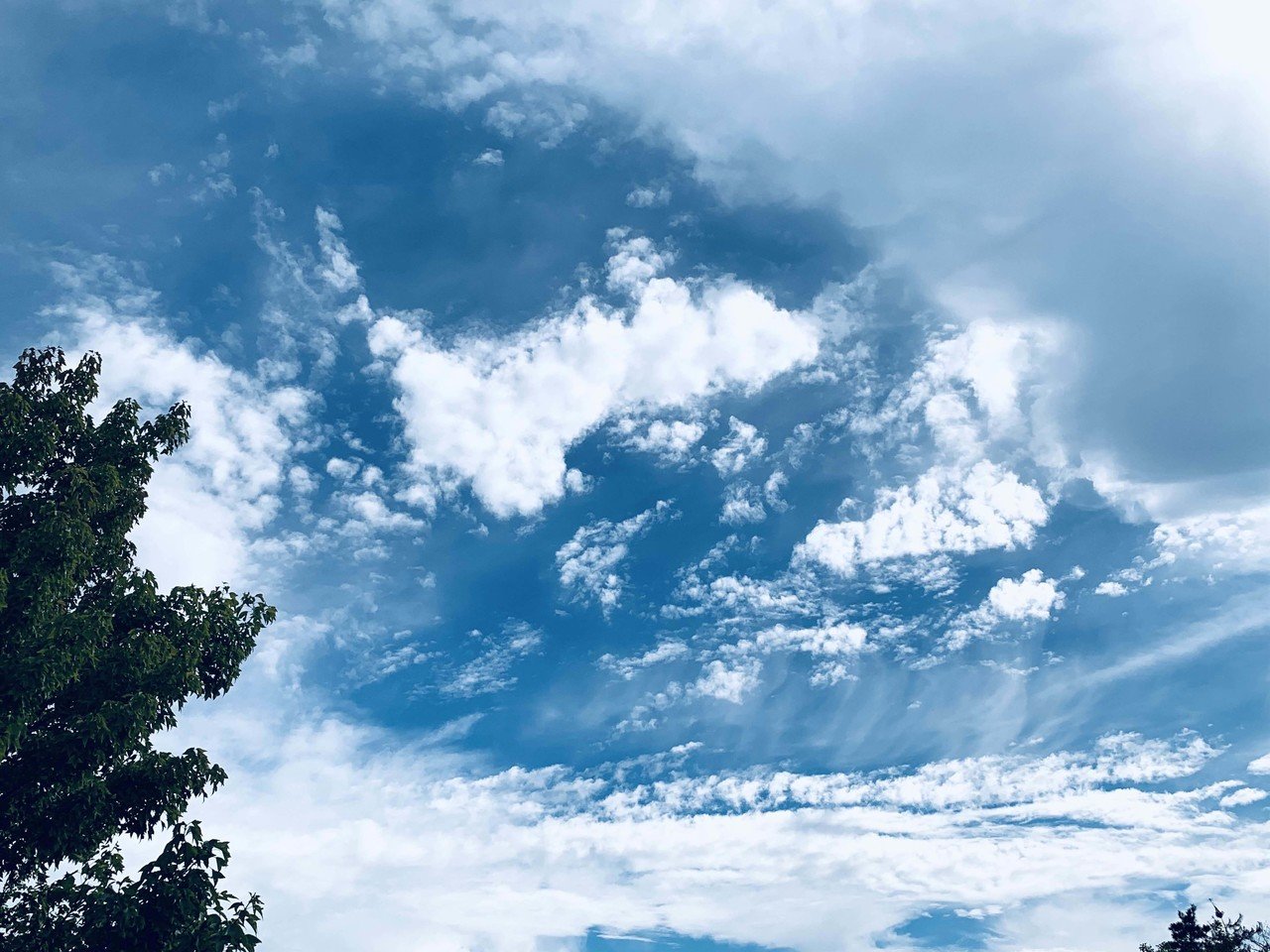 たまには空でも 曇天に青空 いつの間にか雨が上がっていたようで 軽く走ってきました 空気が澄んでる 感じ 気温は19 と肌寒くなってきました 人出が多い Takahiro Note たまには空でも 曇天に青空 いつの間にか雨が上がっていたようで 軽く走ってきました 空気が澄んでる 感じ 気温は19 と肌寒くなってきました 人出が多い Takahiro Note