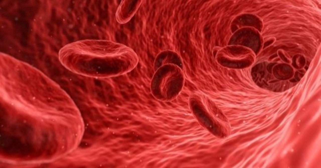 血液型の不思議 世界分布と魅惑のab型 美保神社 フォロバ100 Note