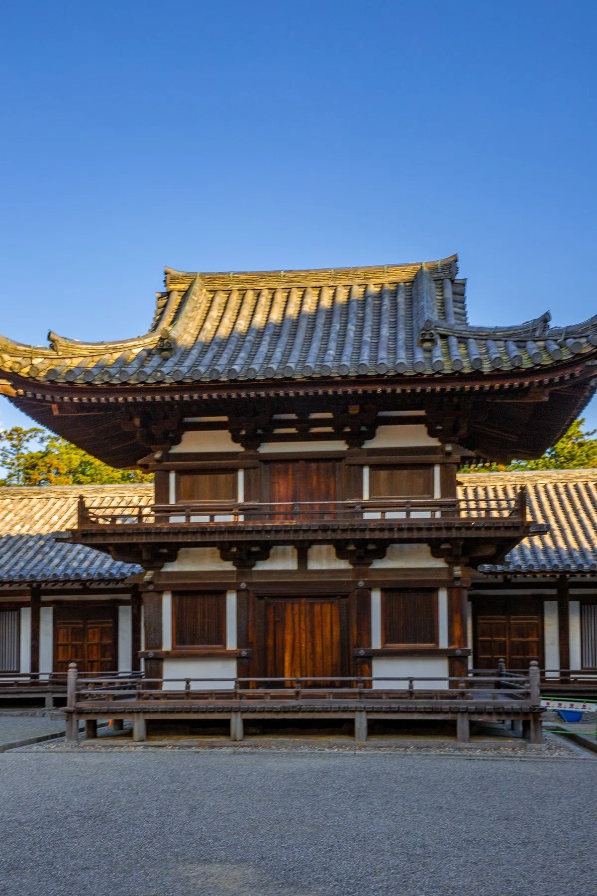 画像15