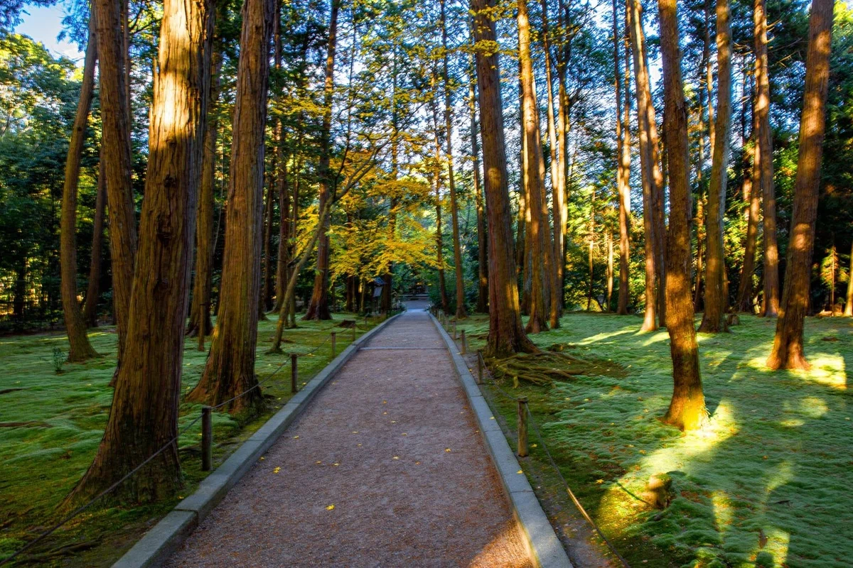 画像17