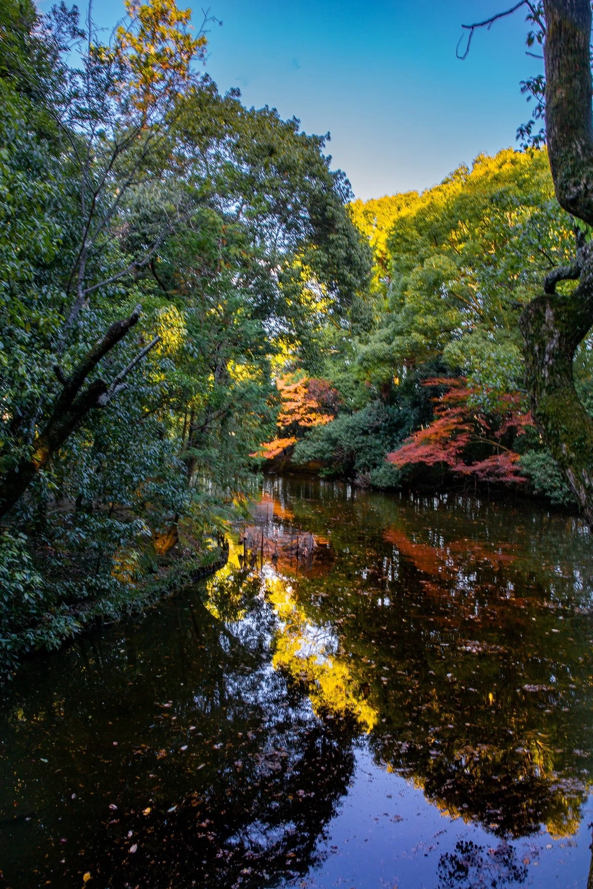 画像19