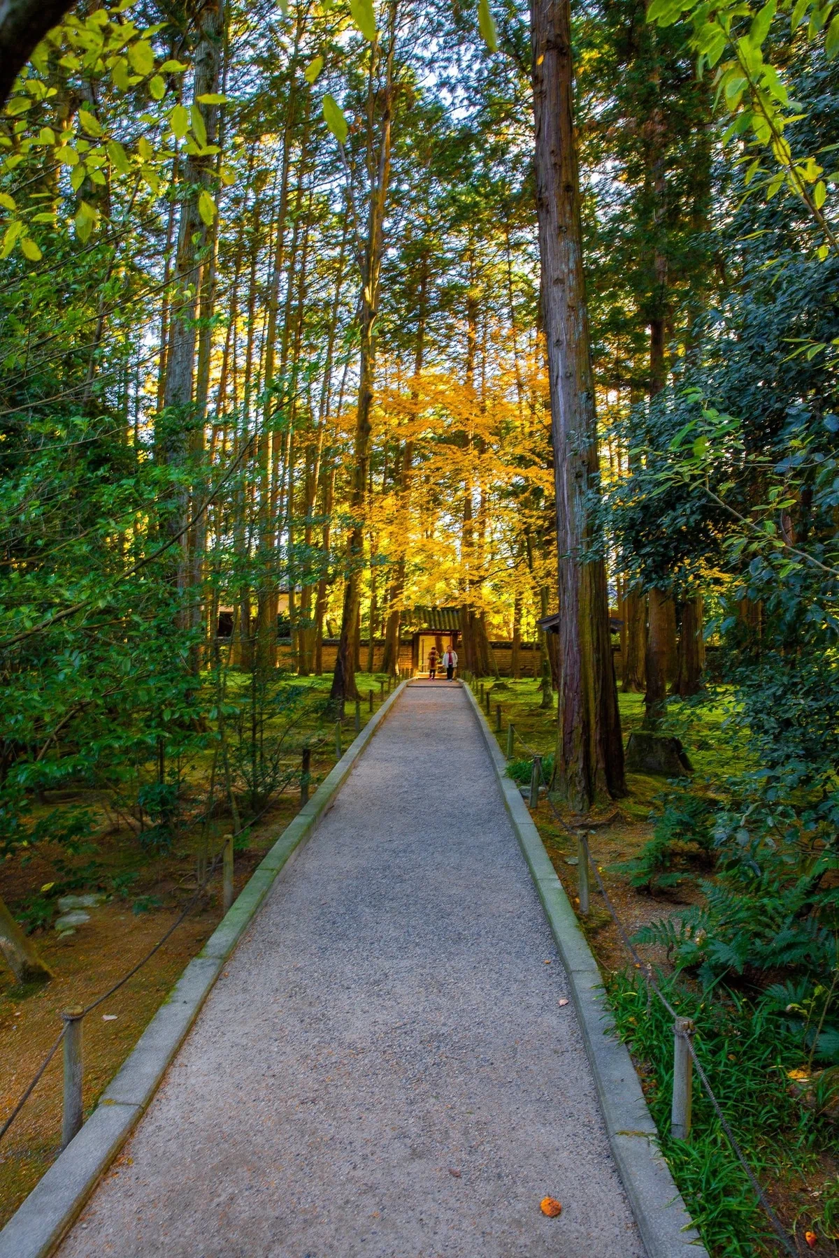 画像20