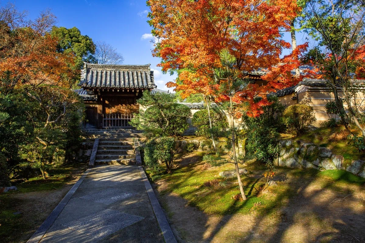 画像23