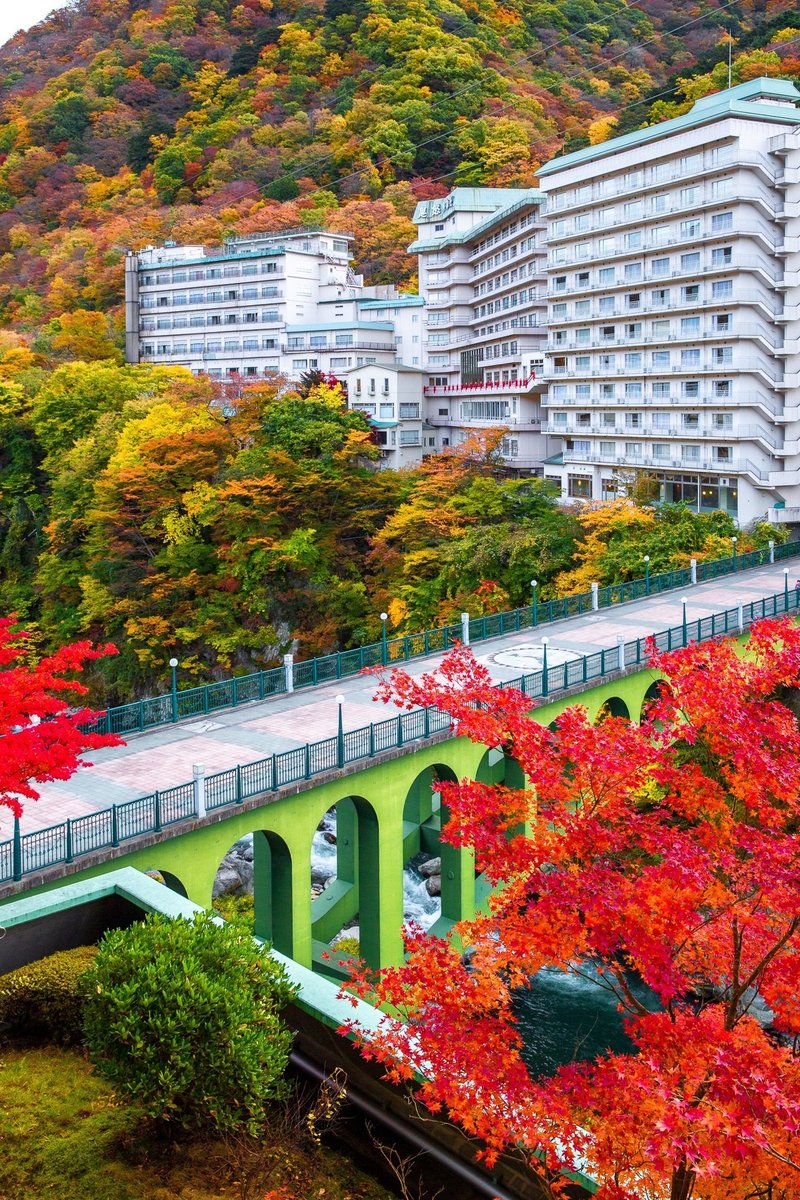 紅葉真盛りの 鬼怒川温泉 Zenpaku Note