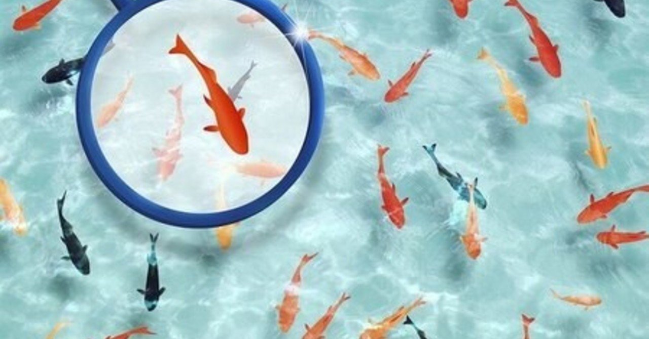 小説 令和金魚すくい騒動 激闘編 たなしゅう Note 小説 令和金魚すくい騒動 激闘編 たなしゅう Note