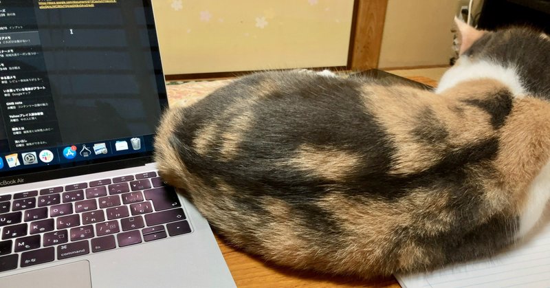 湯河原 猫を借りて泊まれる宿 まいきゃっと が最高だ 長谷川 翔一 編集とマーケティング Note 湯河原 猫を借りて泊まれる宿 まいきゃっと が最高だ 長谷川 翔一 編集とマーケティング Note
