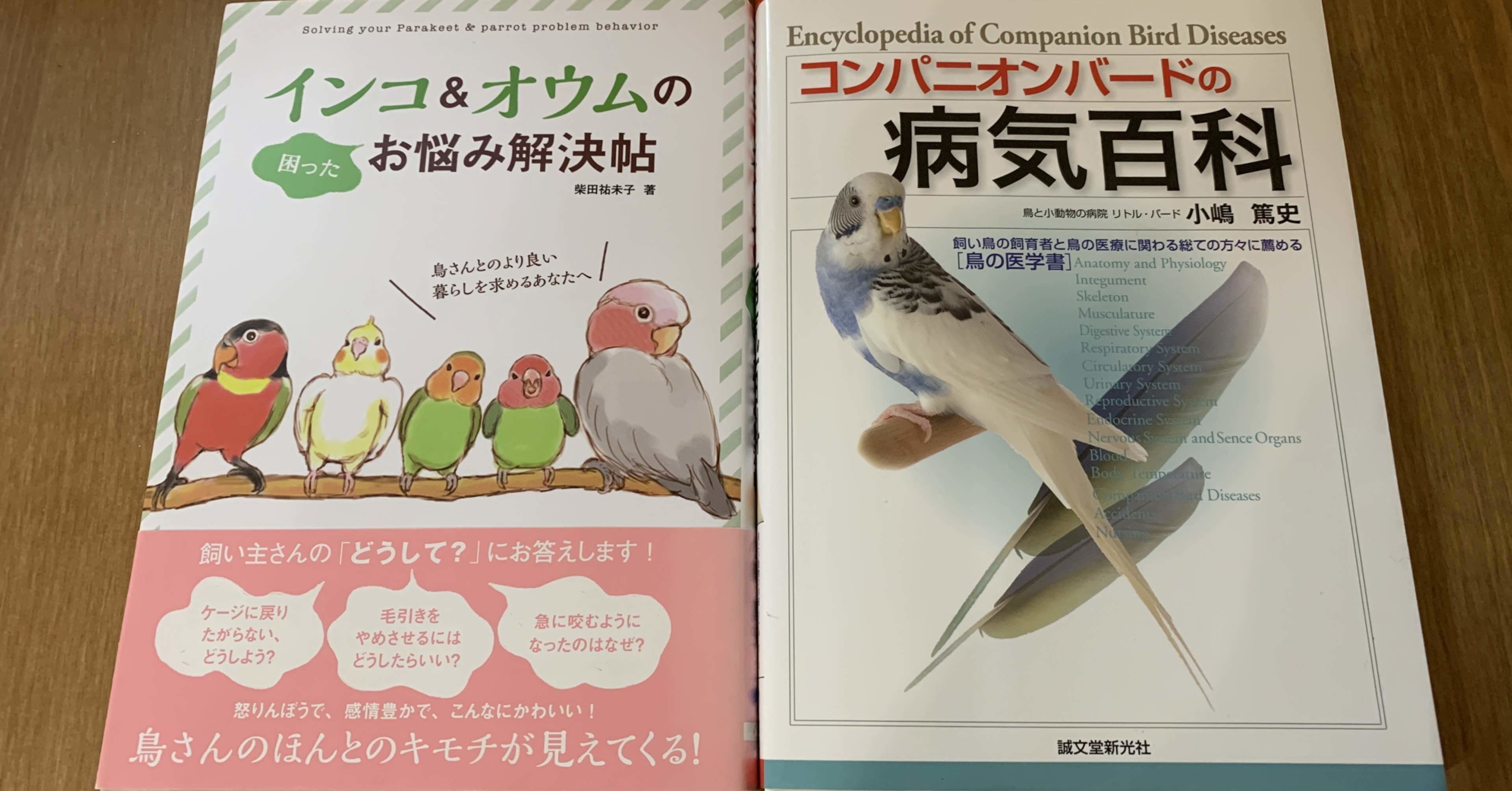 鳥飼いさんにおすすめの本の紹介 インコまるけ Note