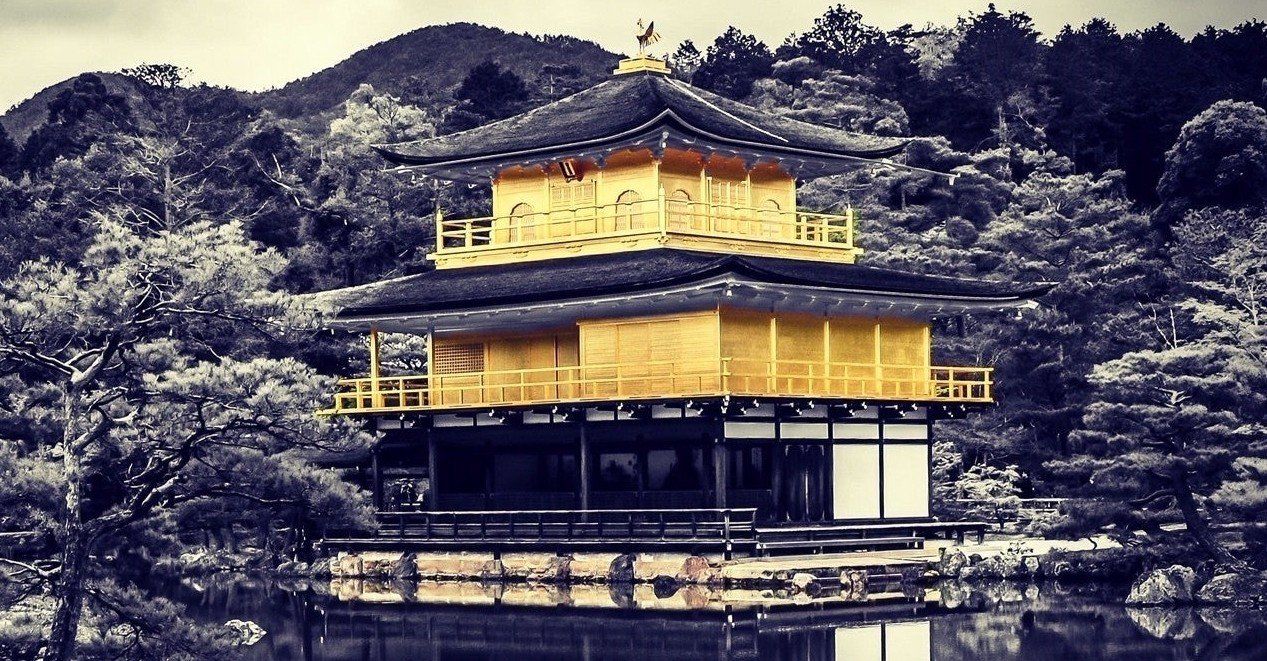 a986699ec429ba2f6311829e736f49