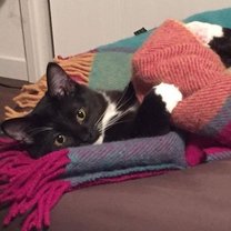 Bl進化論サロン トーク特別編のマガジン一覧 Note Bl進化論サロン トーク特別編のマガジン一覧 Note