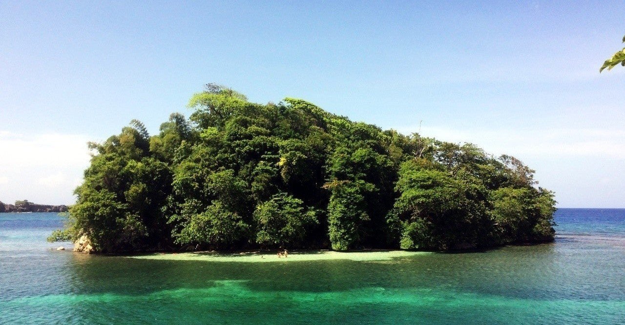 無人島に持っていくアイテムから見る人物タイプ 天果 Note
