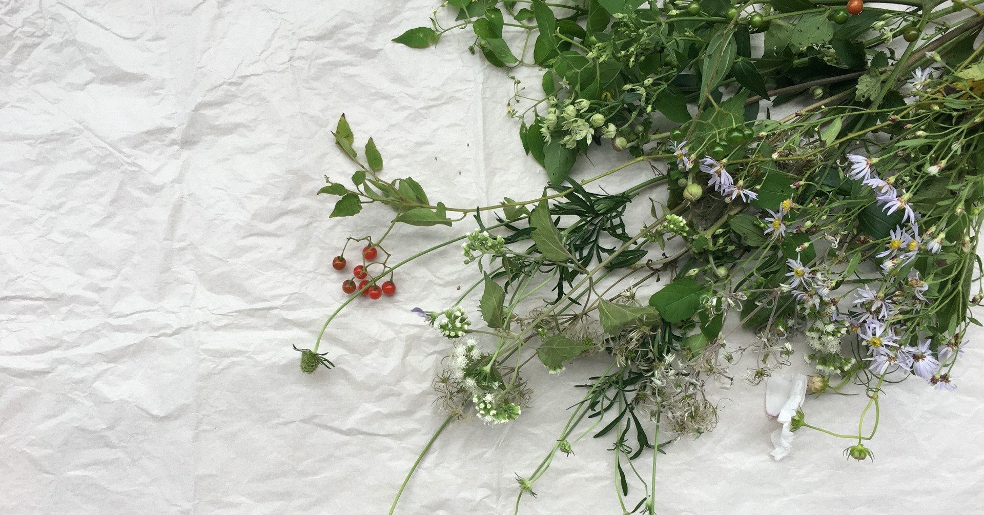 鬼がこの世にだだひとり 生きた証を刻みつける花 千花物語 Note 鬼がこの世にだだひとり 生きた証を刻みつける花 千花物語 Note