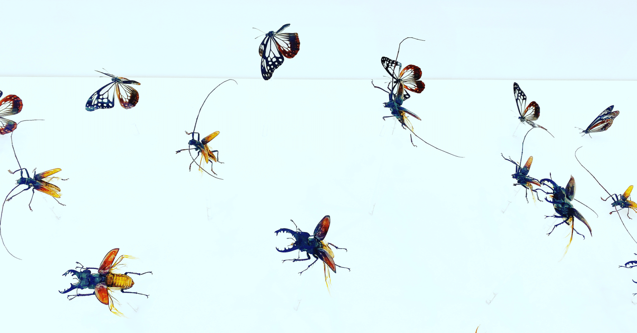 むしポケモン最強ランキング メガハッサム メガヤンマ ストライク タヌト Note