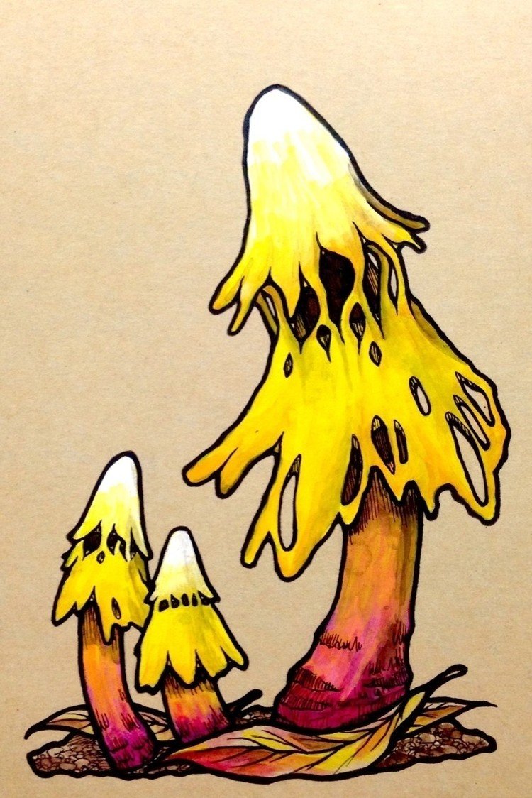【 #ミチノタケ 】より
●ウスキボウシタケ
帽子を被ったような形の黄色い #キノコ 。その見た目から「森の小人」と呼ばれ親しまれている

#秋のキノコ祭
#秋

#西荻きのこ村 #西荻きのこ村2016