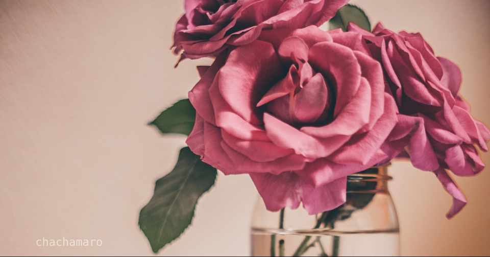 お花を長持ちさせるためのコツ お水を毎日変える 茎を斜めに切る おっと その前にやることがあります ちゃちゃマロ Note