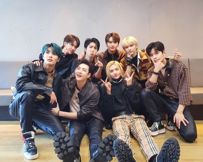 Stray Kids Felixの底なし沼に溺れろ Tamin Note