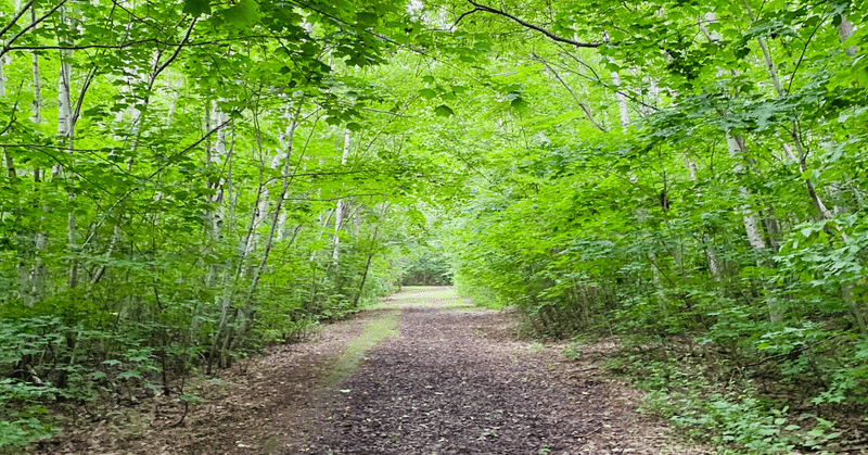 新卒で入社したヤフーを1年と3ヶ月で辞めてスタートアップに転職した話 yuki9541134 note