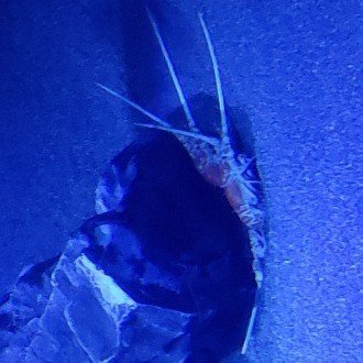 明日は我が身なのか 残骸 Note