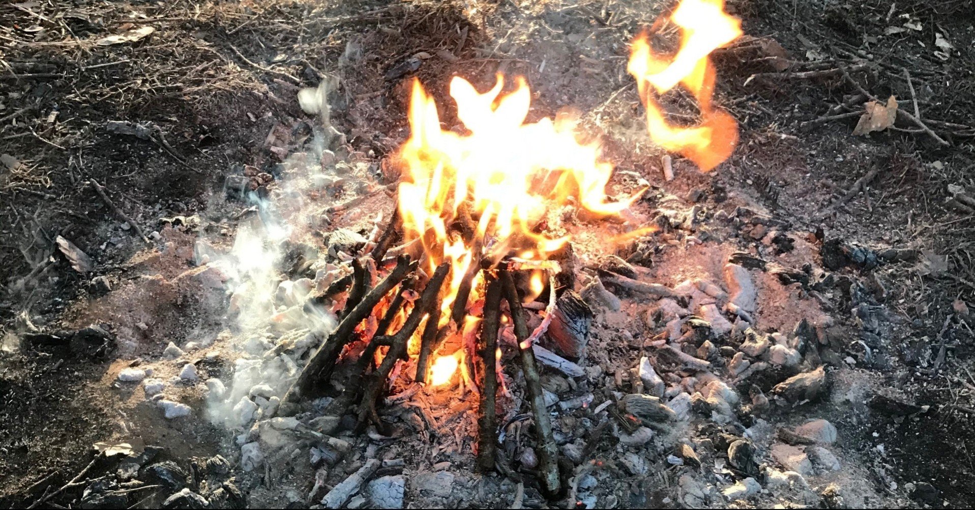 たき火コーチング を企画した すけ 安倍大資 Note