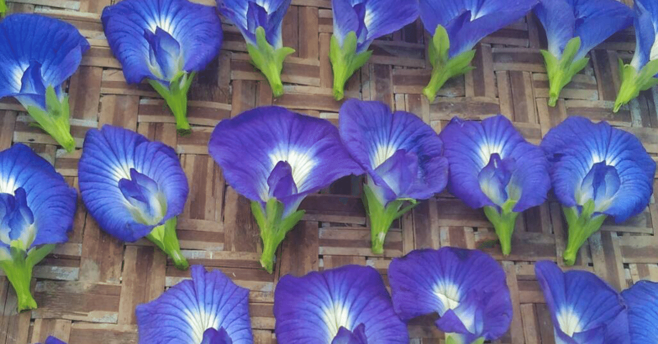 タイハーブ アンチャン バタフライピーの効能｜Happy☆Smile 自然療法