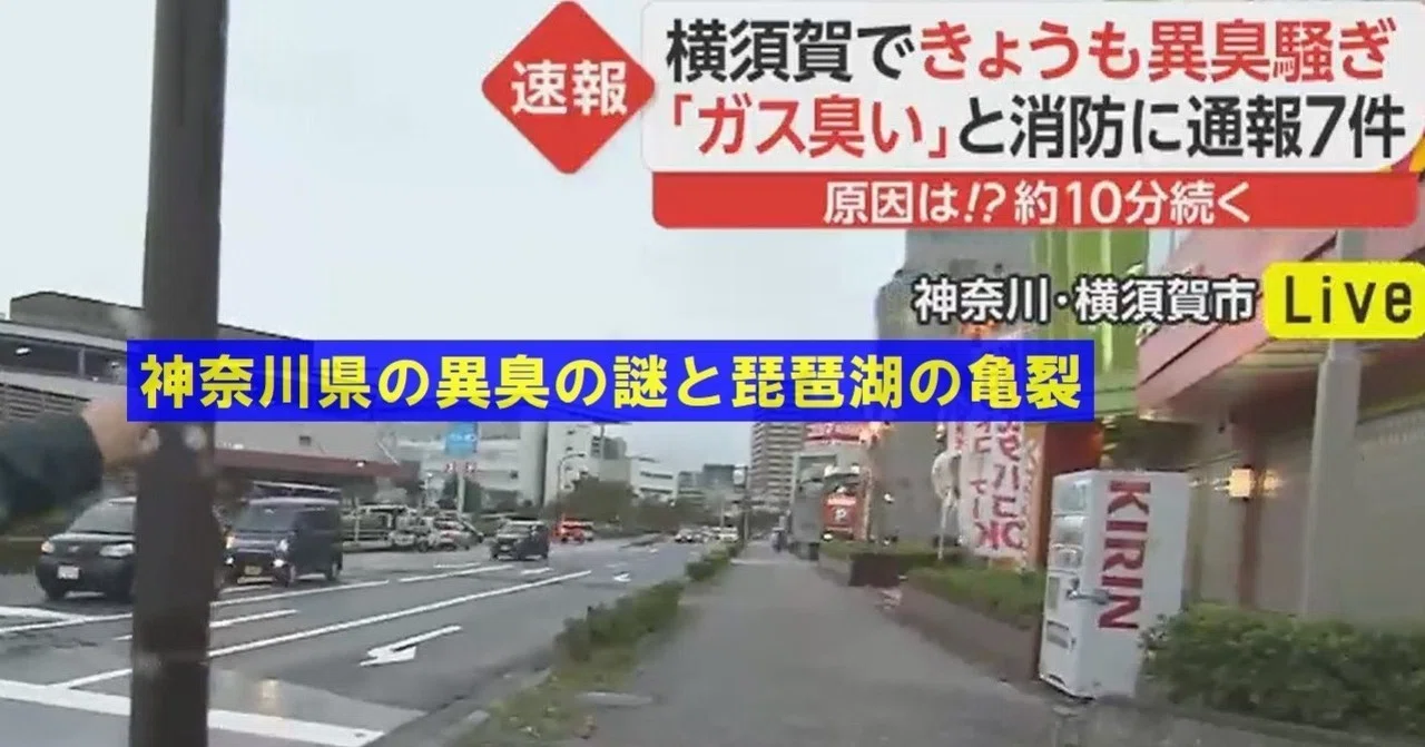 10 16 神奈川県の異臭の謎と琵琶湖の亀裂 百瀬直也 地震前兆 超常現象研究家 ライター ブロガー Note