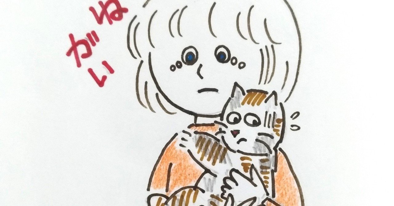 第2話 猫のほのぼのする話 老猫は姉が大好きで毎日ベッタリだ ルンルンにゃんこcat World Note